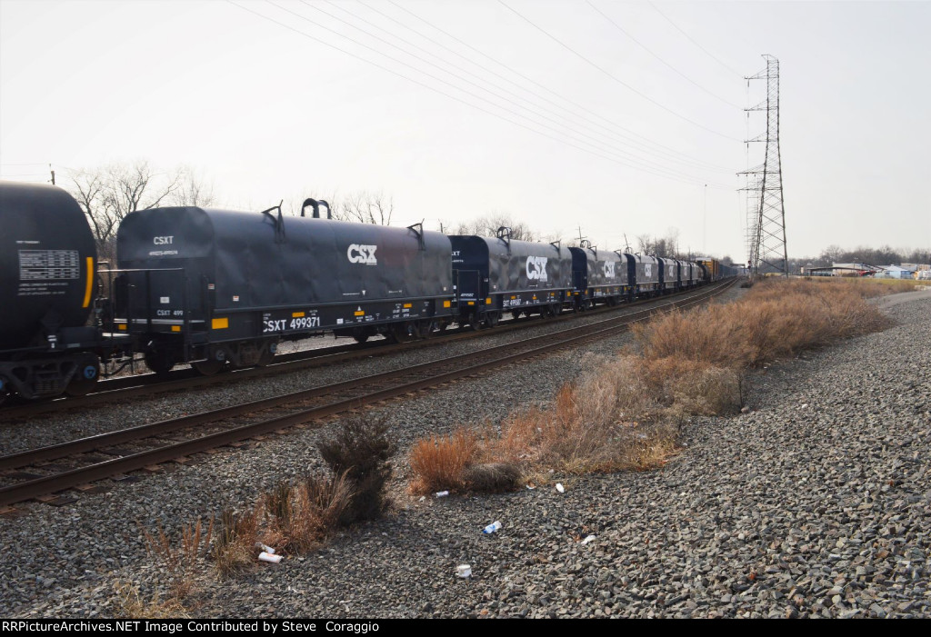 CSX 499371 & CSXT 499587 ARE BOTH NEW TO RRPA